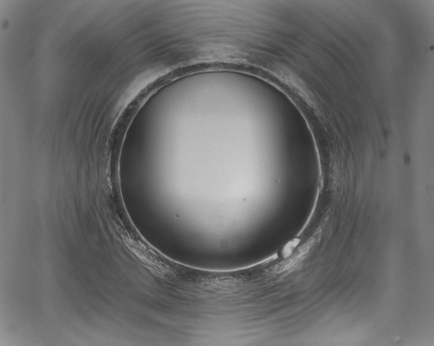 X0000067950830200604131433