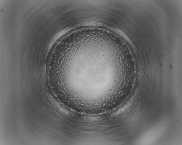 X0000067950831200604131433