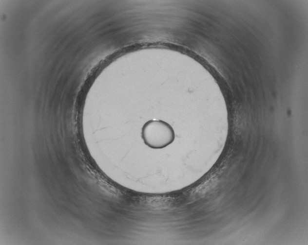 X0000067950832200604131433