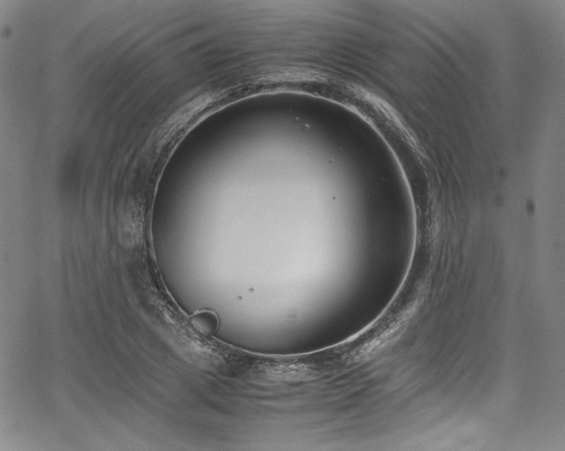 X0000067950833200604131433