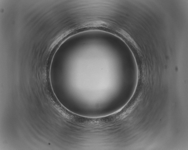 X0000067950834200604131433