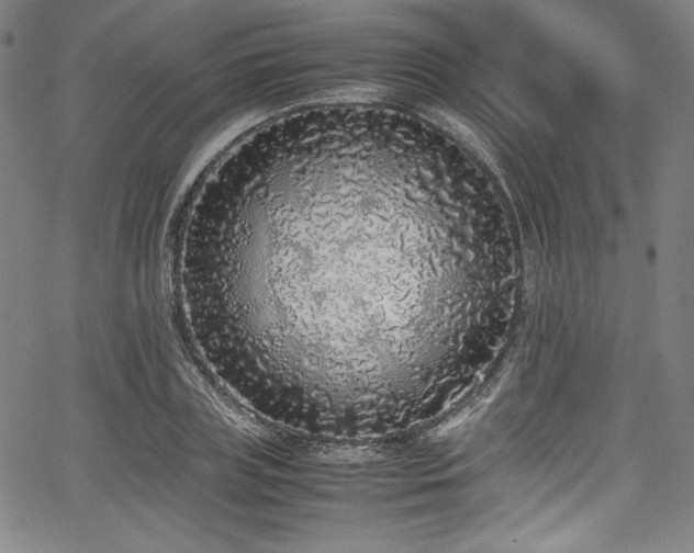 X0000067950835200604131433