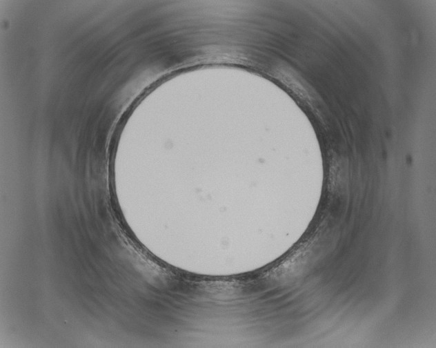 X0000067950836200604131433