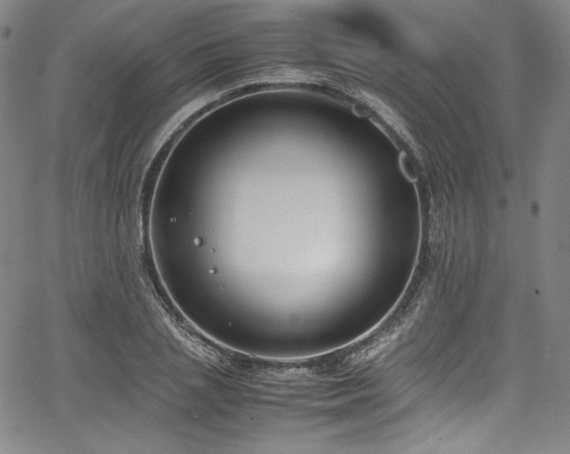 X0000067950837200604131433