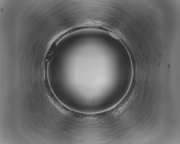 X0000067950838200604131433