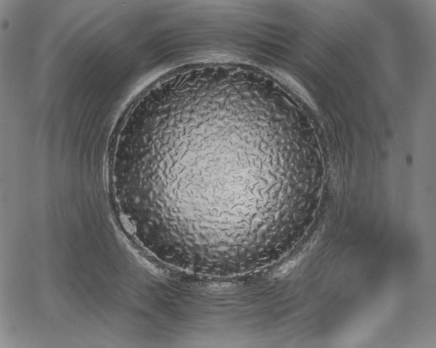 X0000067950839200604131433