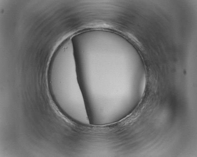 X0000067950840200604131433