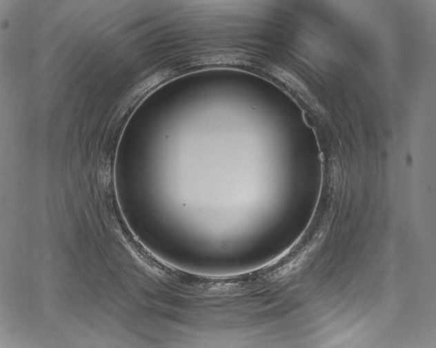 X0000067950841200604131433