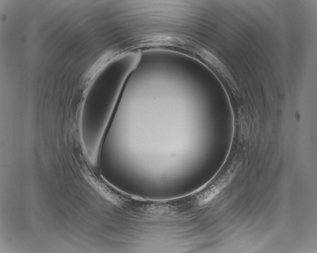 X0000067950842200604131433