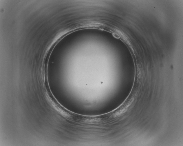 X0000067950843200604131433