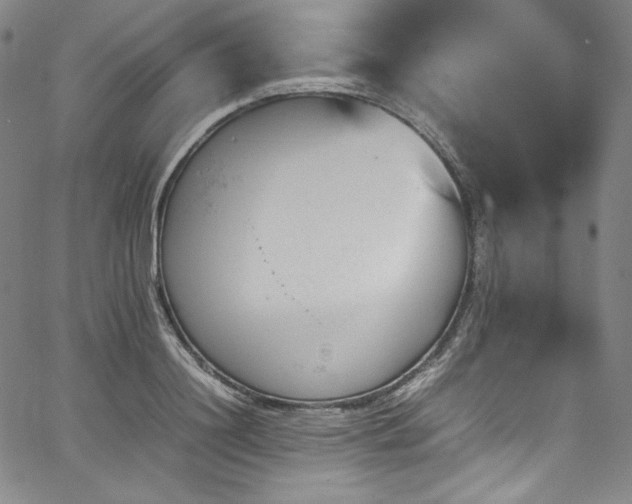 X0000067950844200604131433