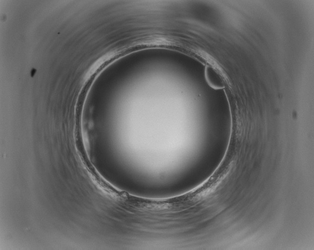 X0000067950845200604131433