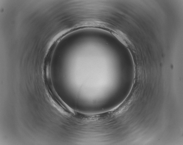 X0000067950846200604131433