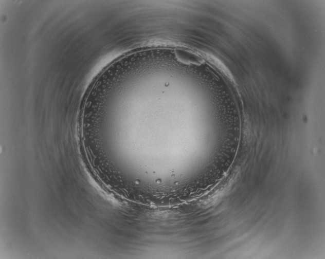 X0000067950847200604131433