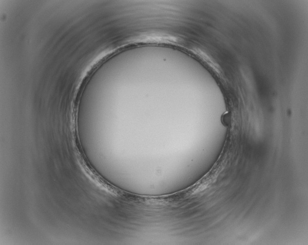 X0000067950848200604131433