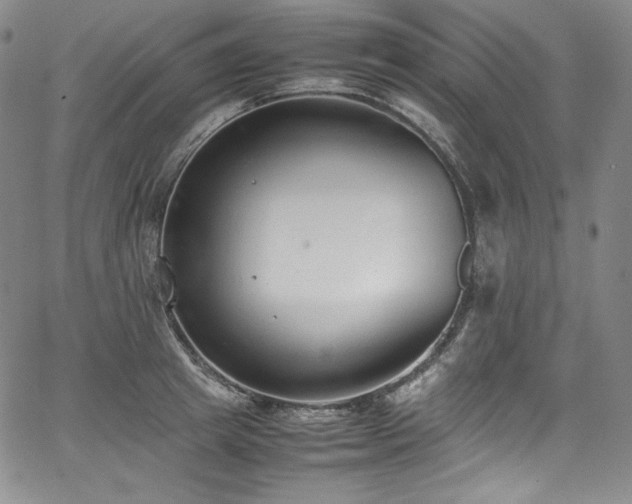 X0000067950849200604131433