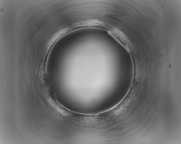 X0000067950850200604131433