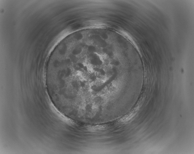 X0000067950851200604131434