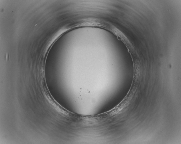 X0000067950852200604131434