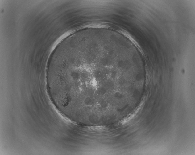 X0000067950853200604131434