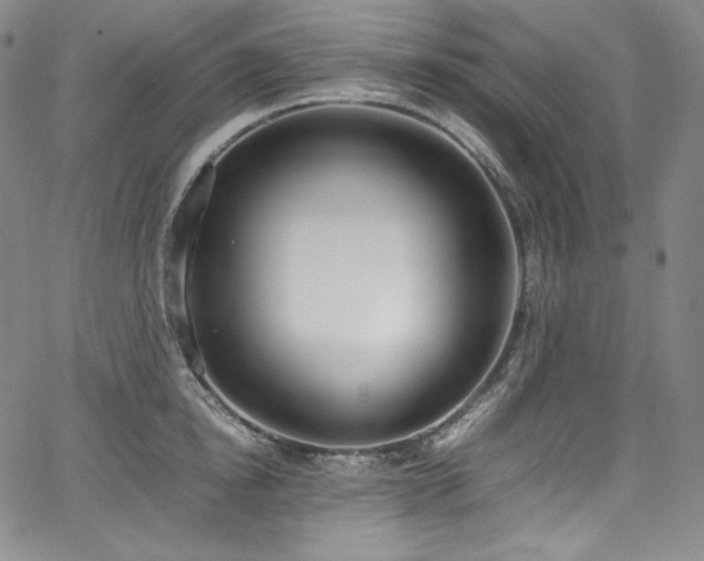 X0000067950854200604131434