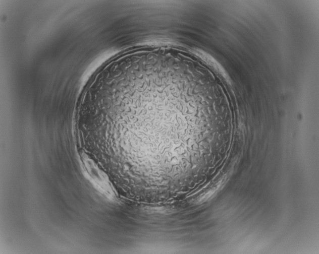 X0000067950855200604131434