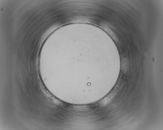 X0000067950856200604131434