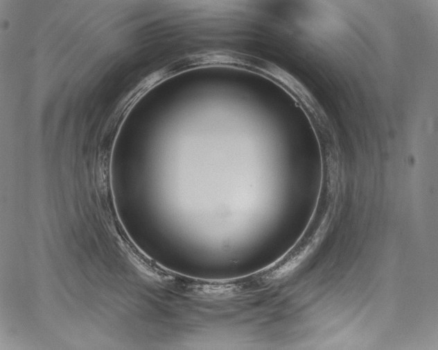 X0000067950857200604131434