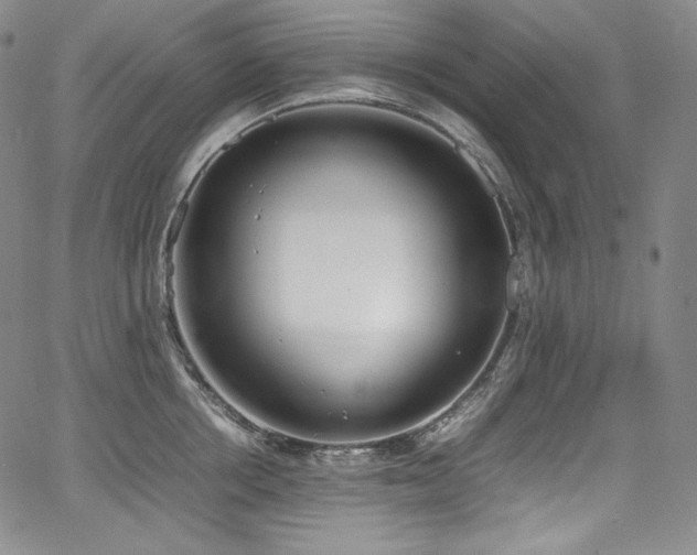 X0000067950858200604131434