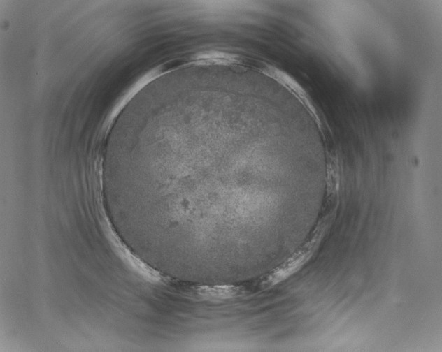 X0000067950859200604131434