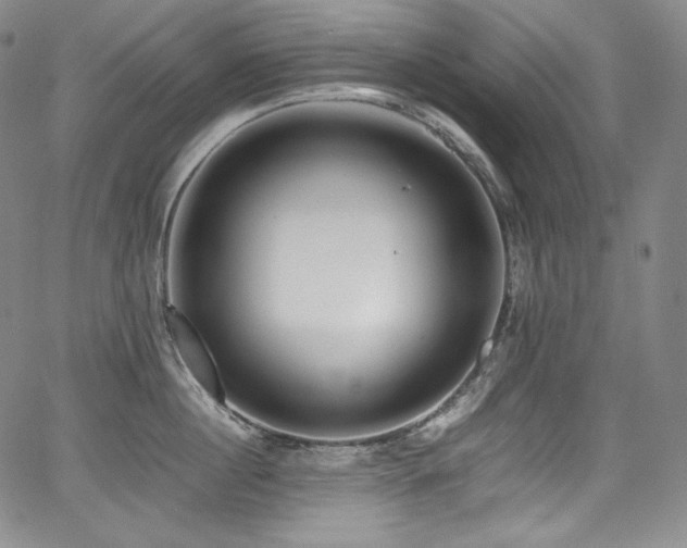 X0000067950860200604131434