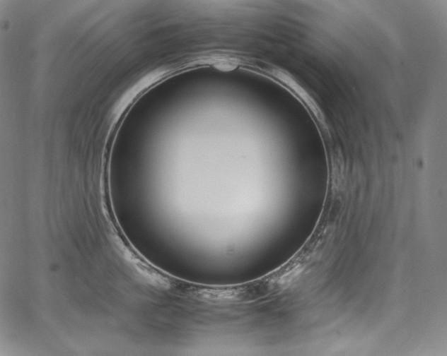 X0000067950861200604131434