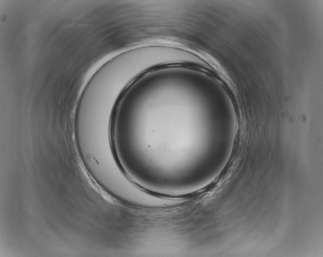 X0000067950862200604131434