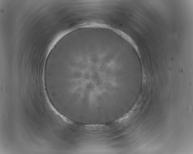 X0000067950863200604131434