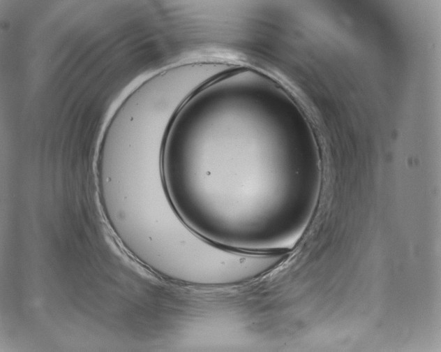 X0000067950864200604131434