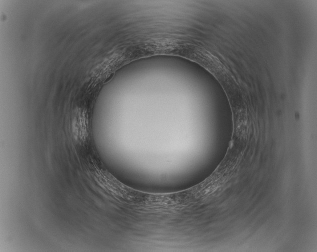 X0000067950866200604131433