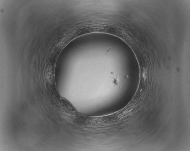 X0000067950867200604131433