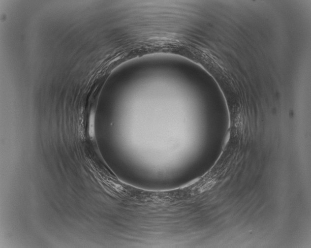 X0000067950868200604131433