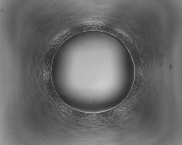 X0000067950869200604131433