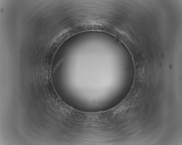 X0000067950870200604131433