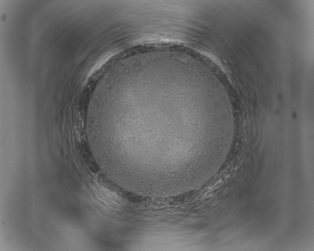 X0000067950871200604131433