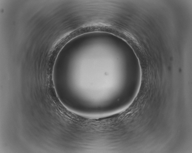 X0000067950872200604131433