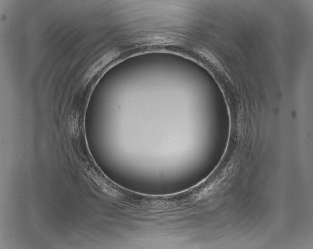 X0000067950873200604131433