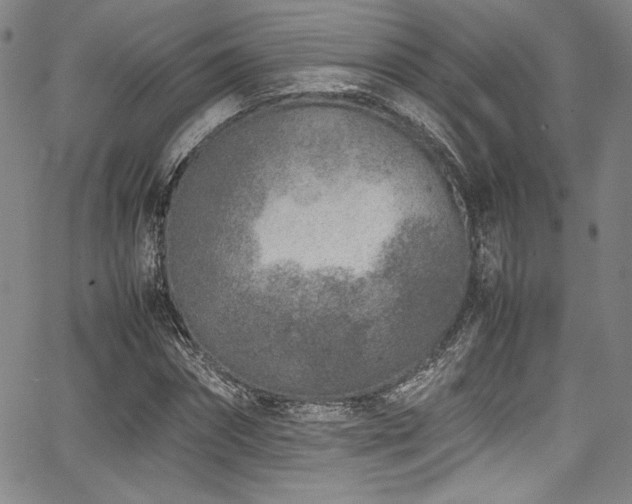 X0000067950874200604131433