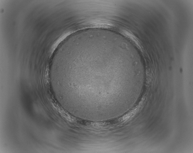 X0000067950875200604131433