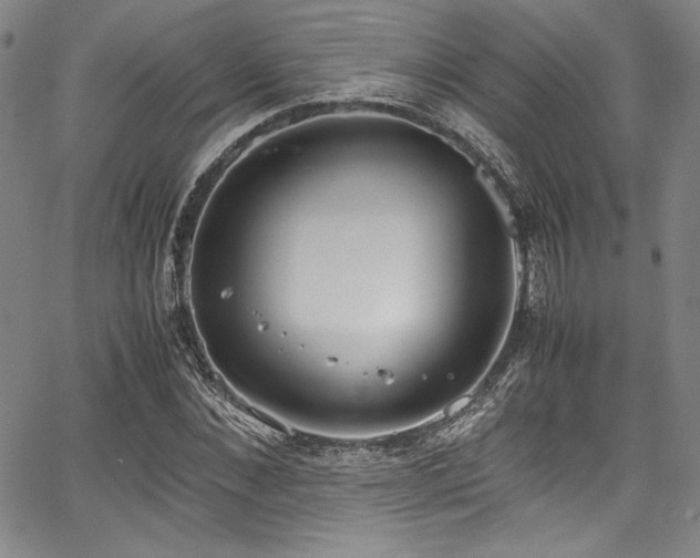 X0000067950876200604131433