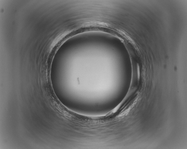 X0000067950877200604131433