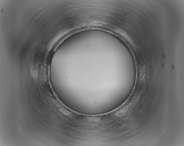 X0000067950878200604131433