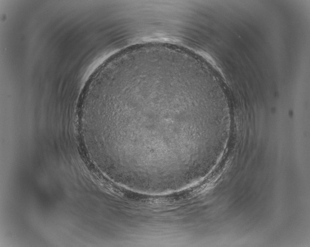 X0000067950879200604131433