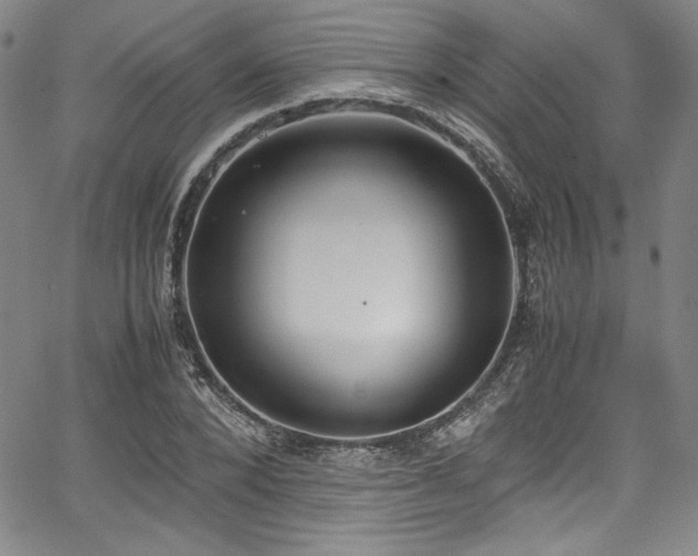 X0000067950880200604131433